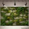 1Pcs Natural Moss Stone Wall Ivy Vines Decoration Background Garden Backdrop Decorations For Photo Studio Photo Booth Party