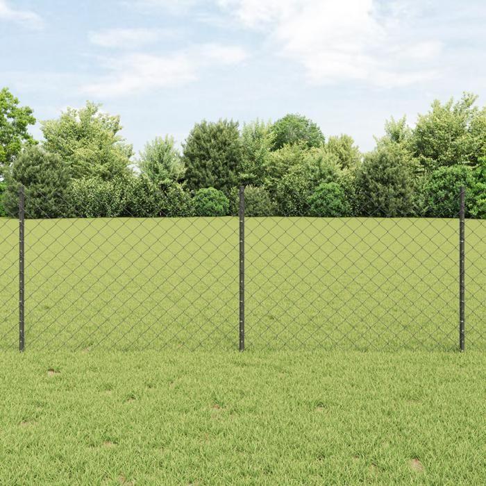 VidaXL Set de Clôture de Jardin Pack de 2 Gris Acier Galvanisé 3336279