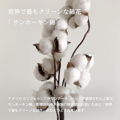 Tramparan Imabari Towel Face Towel 3-Piece Set, Luxe, Made in Japan, Thick, Hotel-Quality, Absorbent, 100% Cotton (Green, Cocoa Brown, Purple)