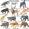 Mini Animal Growth Cycle Toys: Butterfly, Rooster, Ant, Frog, Sea Turtle, Dragonfly