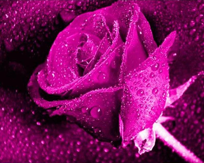 5D DIY Diamond Painting Full Round Square Rose Landscape Rhinestones Diamond Embroidery Cross Stitch Flowers Mosaic Handicraft