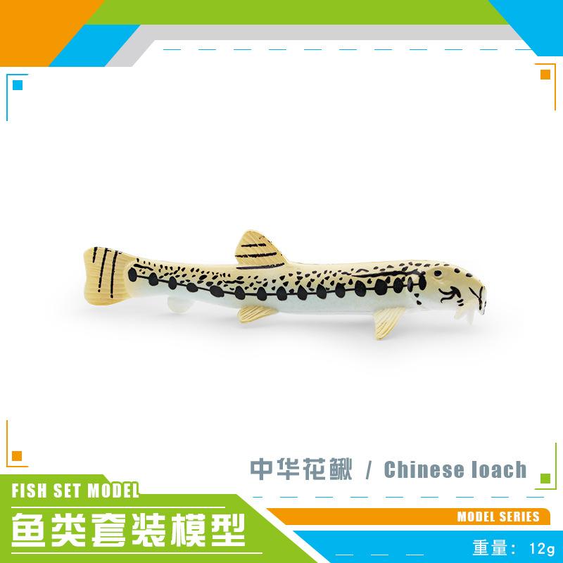 Simulation Marine Animal Fish Model Red Spot Salmon Piranha Chinese Loach Yarrow Salmon Toy
