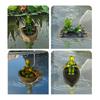 Artistic Floating Turtles Frogs Boating Weather Resistant Decoration Suitable For Fish Pools Yard And Desktop Displays