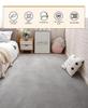 Soft Coral Fleece Carpet for Bedroom and Living Room - Full Coverage and Comfortable