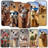 Animal Camel Phone Case Cover for iPhone 17 16 15 14 13 12 11 Pro Max 17 Air Plus Shockproof Soft TPU Shell Fundas Capas Coque