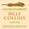Wasser Wasser von Billy Collins Taschenbuch 9781035068708