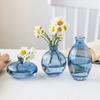 3-Pack Retro Glass Vase Set,Mini Hydroponic Terrarium for Succulents,Wedding Centerpiece,Desktop Home Decor
