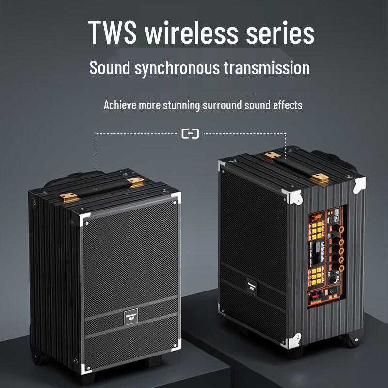 Newmine N518 8-inch Portable Bluetooth Karaoke Speaker CN Plug (adapter Included)