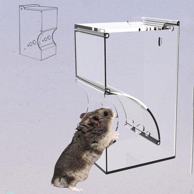 Hamster Automatic Feeder Feeding Station Auto Dispenser Small Animal Food for Guinea Pig