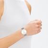 CALVIN KLEIN / watch quartz movement stainless steel strap 36.6mm silver dial women's watch fluctuating style fashionable waterproof 25200245-gj
