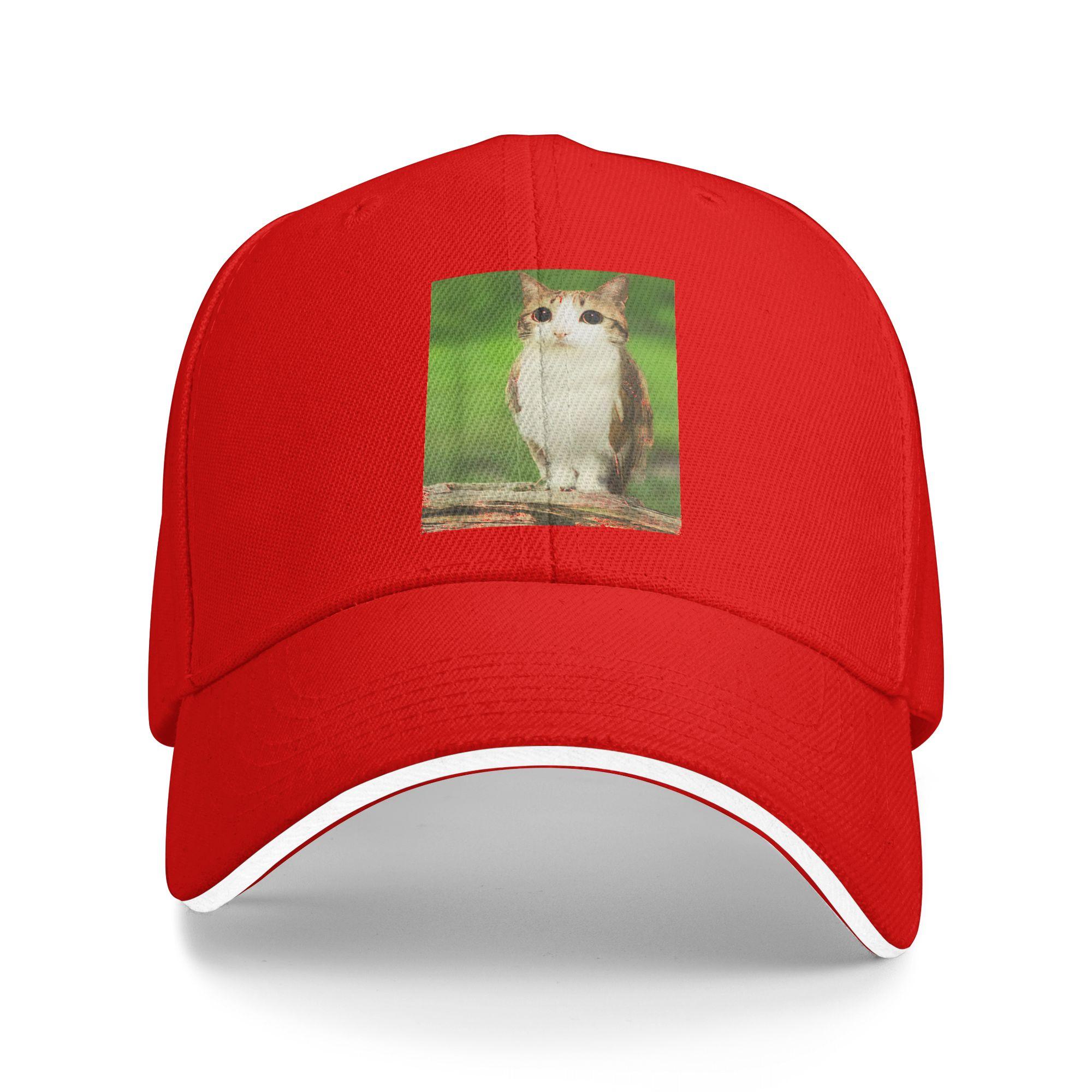 

Весенняя повседневная бейсболка Meowl Кот Сова Мем Забавное животное Гибрид Для бега Хиппи Тракерская кепка Для пары Модные бейсболки One Size