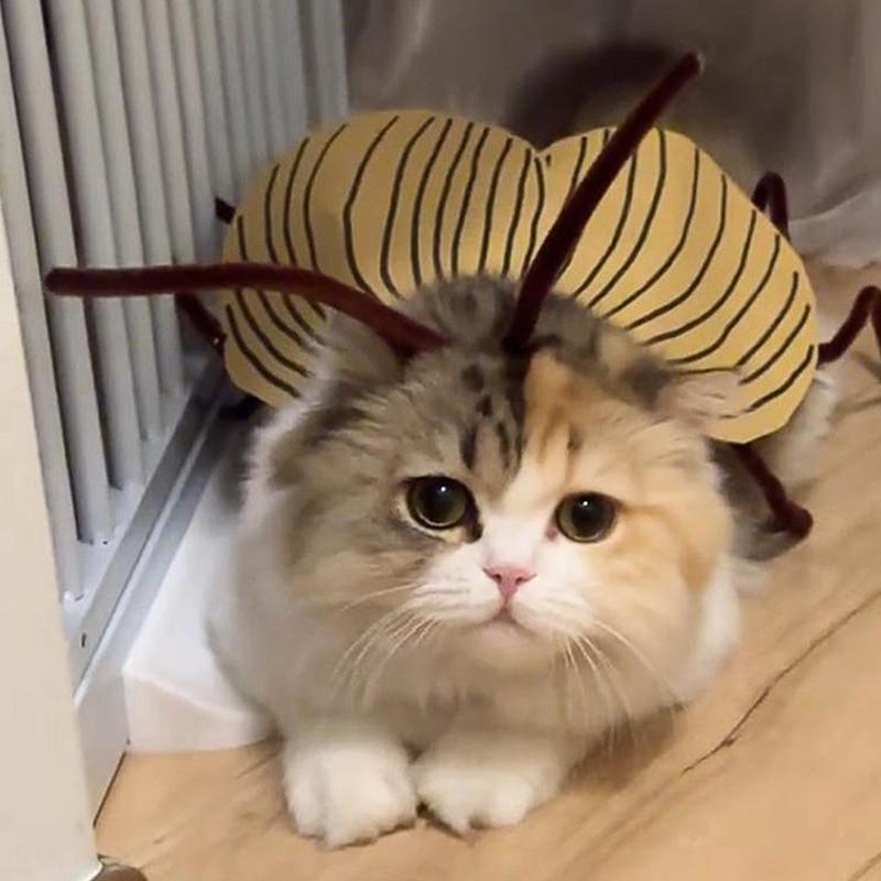 Pet Party Outfit Cat Cockroach Wings Costume Kit Diy Material Pack For Cat Cosplay Dresses With Cute Antennae Apparel