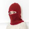 Winter, Unisex, Knitted, Pullover Hat, Masked, Warm and Plush, Thick Windproof, Cycling Ear Protection Hat, Winter Hat