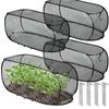 Insect-proof Plant Net Cover Foldable Vegetable Protection Cage  Bird Pest Control