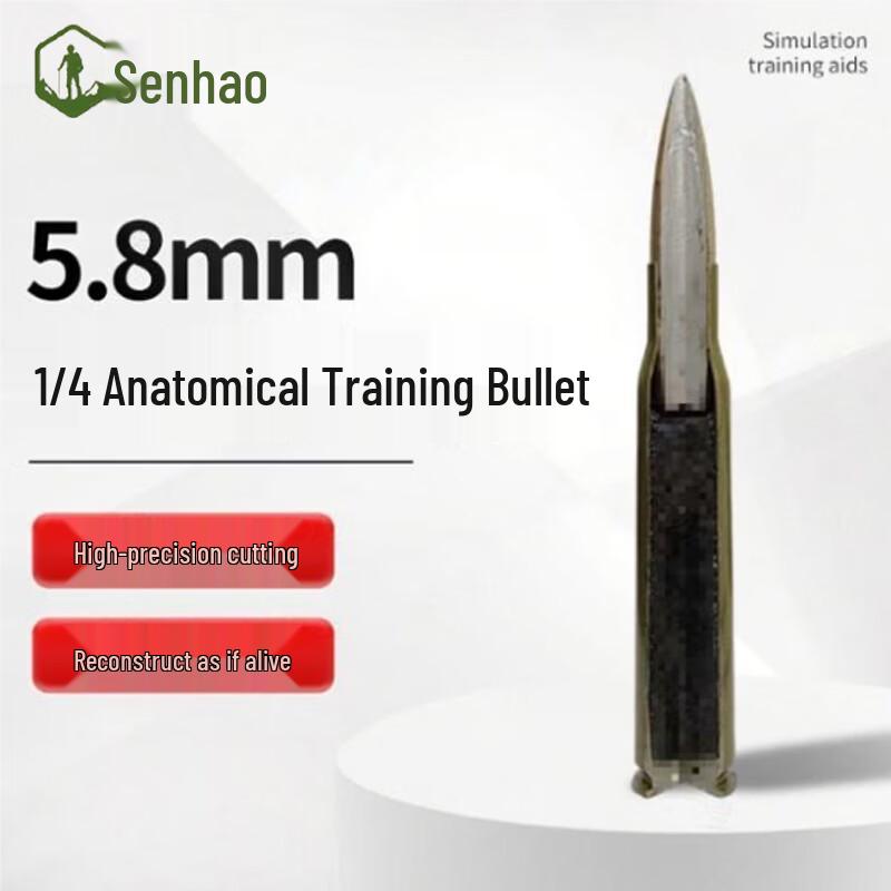 5.8mm Quarter Dissection Bullet Model