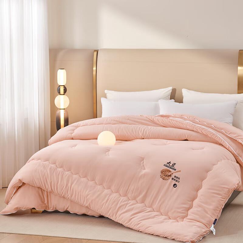 PAUI DAVID Lyocell Two-in-One All-Season Comforter