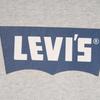 Levis Denim Wanderer Series FW24 Logo Print Ribbed Crewneck Loose Long Sleeve Sweatshirt Men sweatshirt Gray 0018N-0001