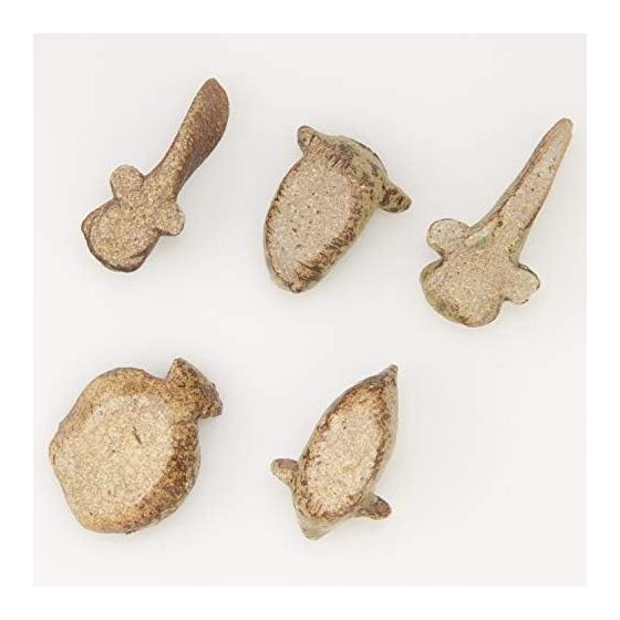 Marui Pottery Shigaraki Ware Hechimon Chopstick Rest Set (5 Pieces) - Five Types of Fish: Pufferfish, Ocean Sunfish, Mudskipper, Catfish, Flounder
