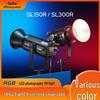 Godox SL300R Bi-Color LED Video Light Kit
