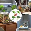 Hamac Feuille de Betta Décoratif Aquarium Habitat pour Poissons Lot de 5 Décoration d'Aquarium Habitat pour la Reproduction le Repos Lit de Sommeil pour Guppy