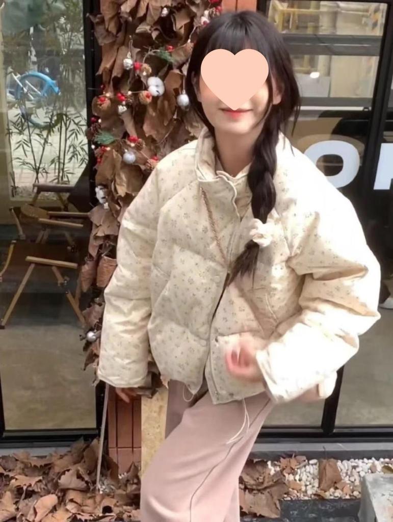 2025 Koreanischer Stil Florale Stehkragen Baumwolljacke: Frühling/Sommer, Warm, Gepolstert, Kurz, Verdickt