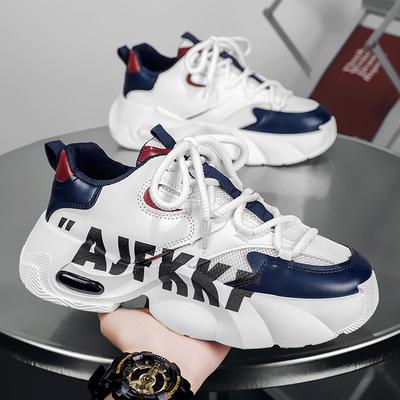 Guochao Niche Men's Shoes Spring New Trend Running Versatile Youth Sports Leisure Thick-soled Heightening Dad Shoes