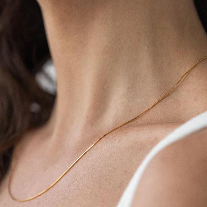 Titanium Steel Non-Fading Snake Bone Chain 2025 Necklace Women'S Simple Necklace All-Match Commuter Chain Clavicle Chain