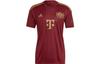 adidas Bayern München Zwart Voetbalshirt Heren Donkerrood IC1435