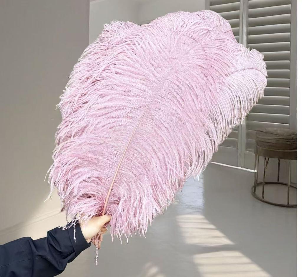 1pcs Ostrich Hair 65-70Cm Photo Feather Wall Wedding Road Guide Decorative Props Colored Feathers