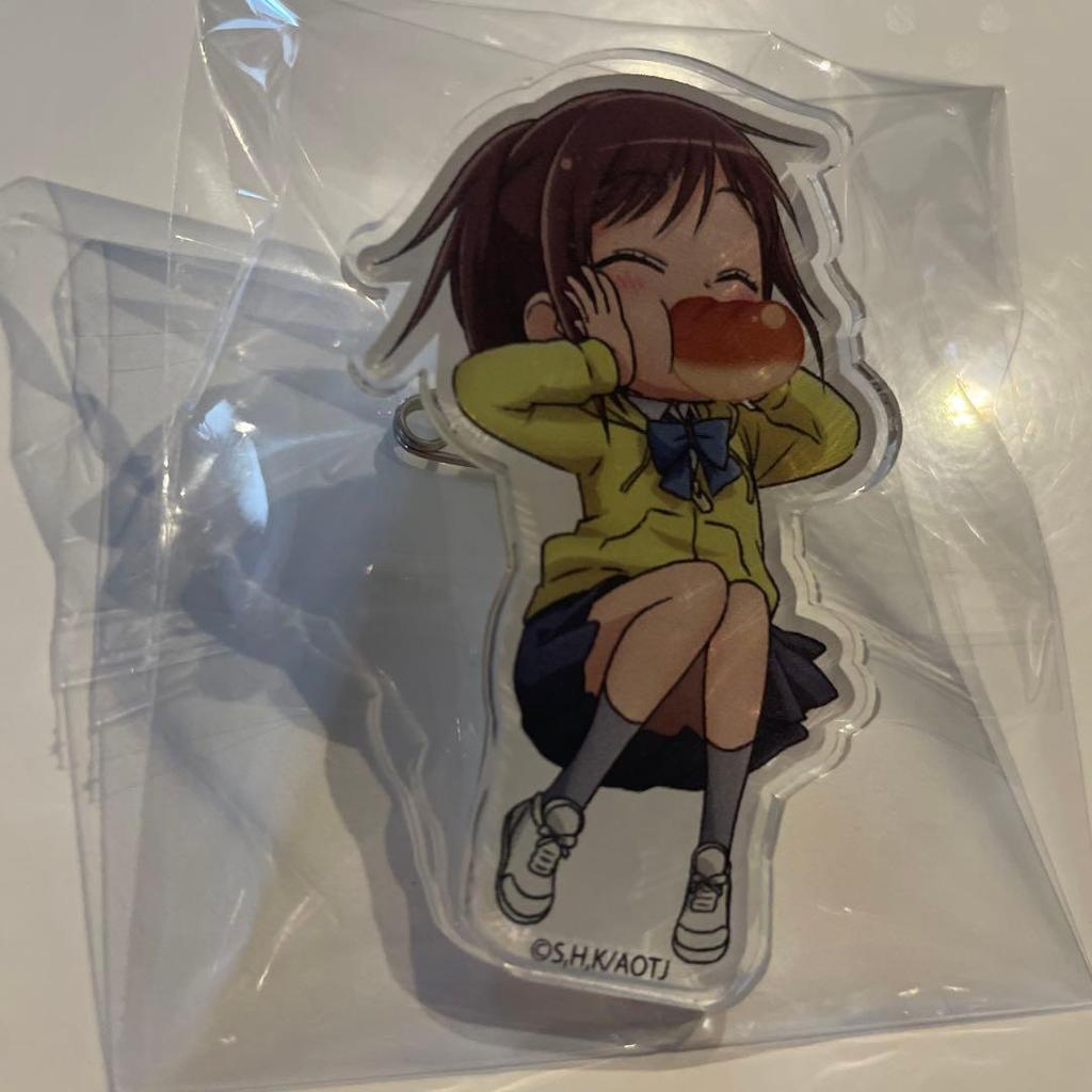 Used [Titan Junior High School] Sasha Acrylic Badge Attack on Titan