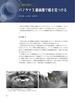 Checkpoints for dental clinical imaging diagnosis