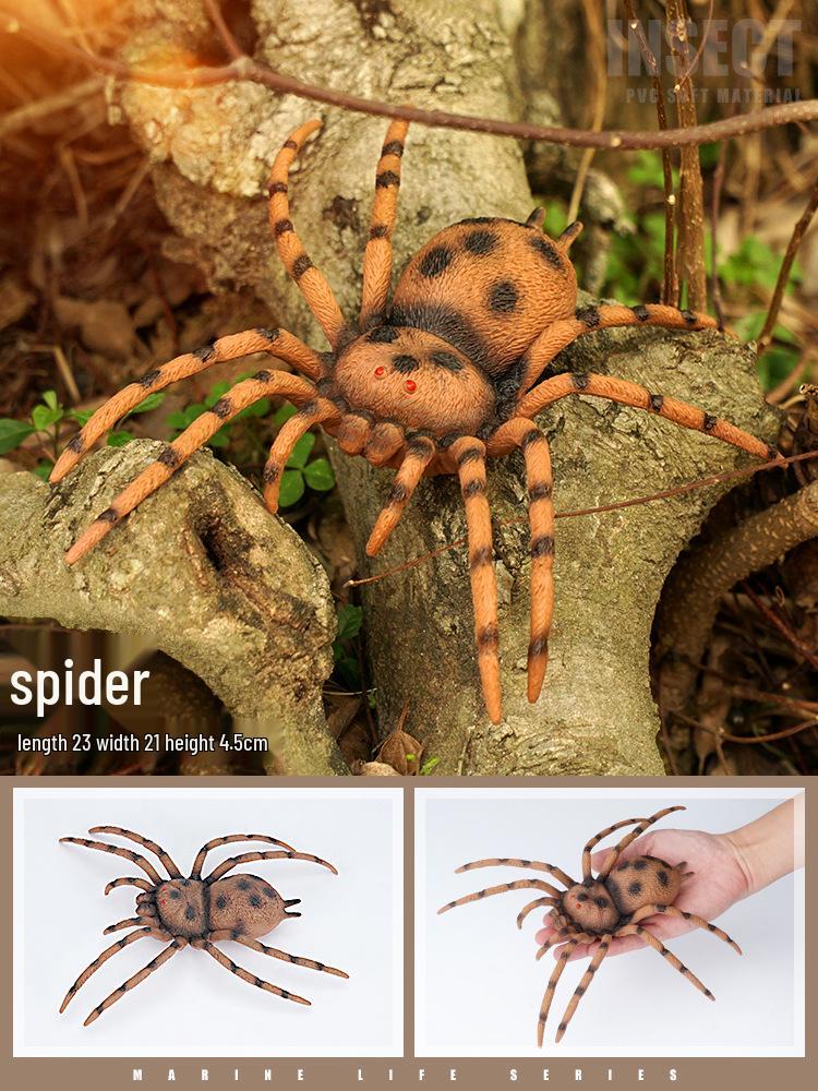 Large Insect and Reptile Toy Models: Scorpion & Spider Simulation