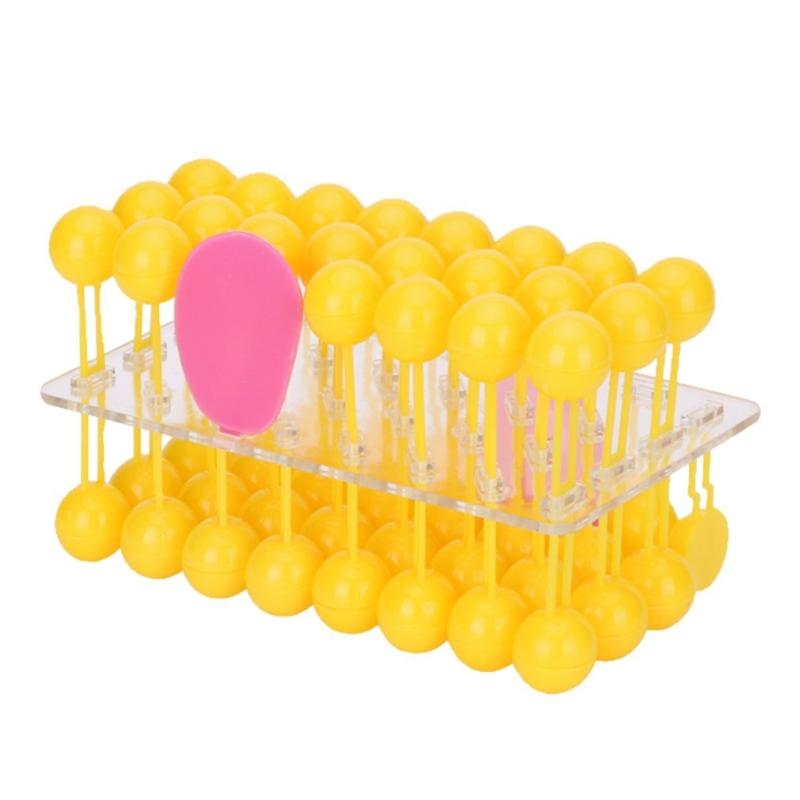 Hands on Assembly Fluid Cell Membrane Model Biology Teaching Aid For Science Laboratory Classroom Demonstrations 1