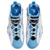 Jordan True Flight Unc 342964-140