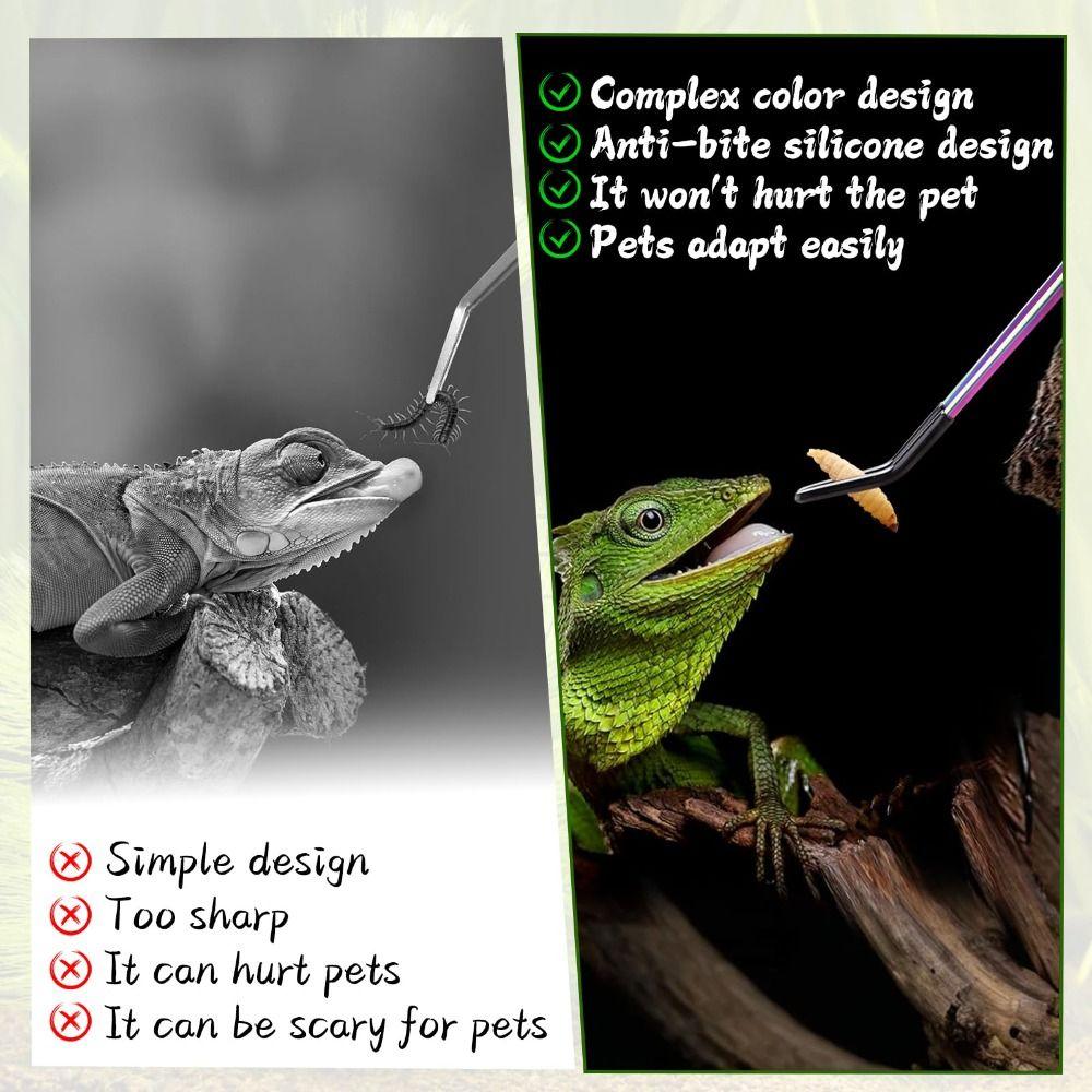 2PCS Stainless Steel Reptile Feeding Tongs Feeder Tools  Bearded Dragons Lizards