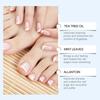 Nail Oil Nutrient Solution Nail Care Nail Care Oil Nail Strengthening Cuticle 30ml