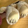 [USED] Teddy Bear Plush Toy