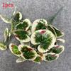 Flower Artificial Stems 35cm For Wedding Decorations Home Photography Props