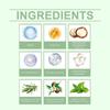 Hoegoa Gentle Exfoliating Scrub For Scalp Cleansing And Hair Root Care, Sea Salt And Mint Refreshing Nourishment