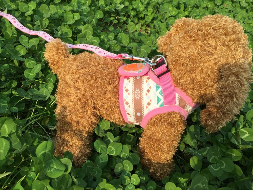 Dog Print Protective Harness Vest