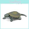 Aquatic Reptile Tortoise Pvc Model Set With Realistic Detailing For Educational Collection
