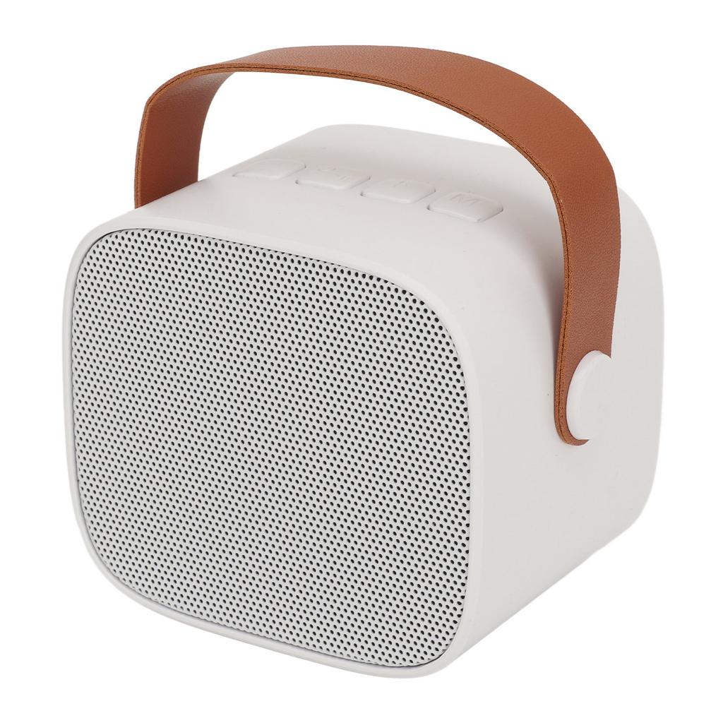 P2 Mini Karaoke Machine Portable Bluetooth Speaker with Wireless Microphone for Adults Kids White
