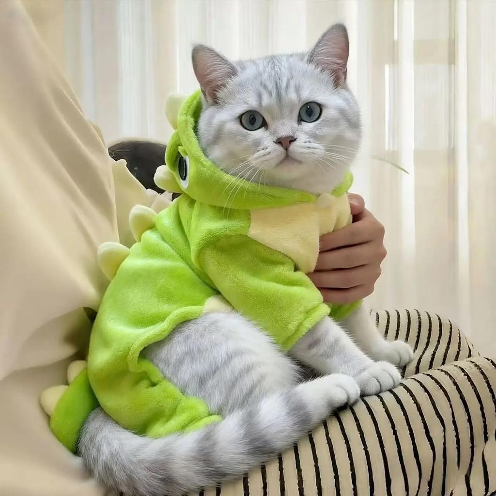Winter Welpe Hund Katze Kleidung Fleece 4-beiniger Weicher Pullover für Sphynx Katze Dick Warm Kapuzen Dinosaurier Sweatshirt Mantel für Kätzchen
