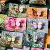 Cartão de felicitações pop-up de borboleta com envelope e adesivos Flores Cartão postal Cartões de aniversário florais Presentes de dia dos namorados Presente para menina