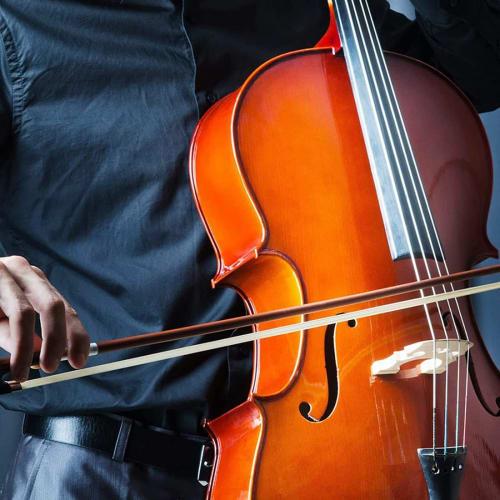 3-Piece Violin Bow Hair Replacement Kit, 29.2-inch Fiddle Bow Hair Tool, Musical Bow Hair Violin Horsehair, White