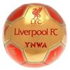 Liverpool FC Printed Signature Mini Football
