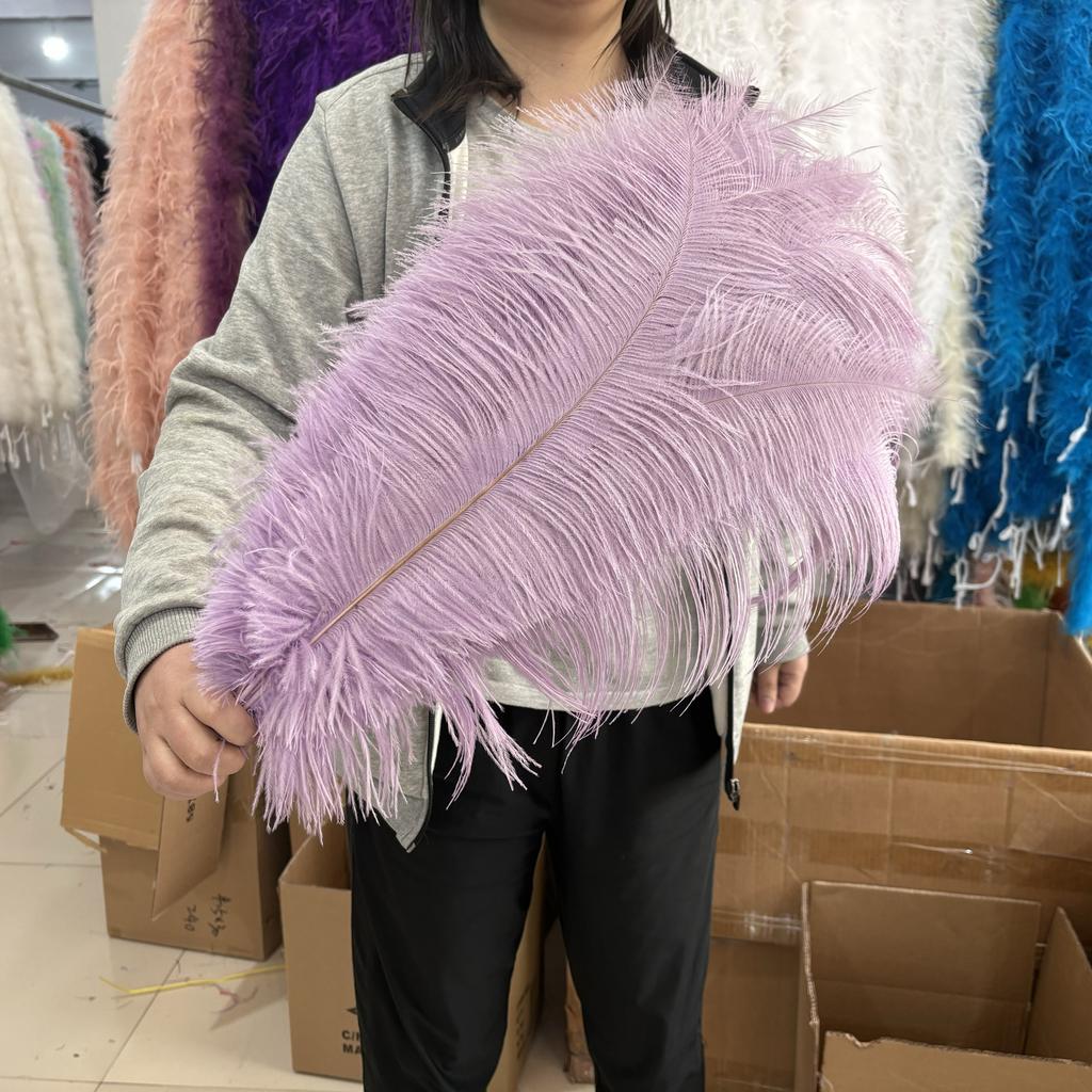 10Pcslot Natural Long Ostrich Feather Bulk 40-65CM16-26inch for Wedding Party Dining Table Center Vase Decor Home Lamp Feather