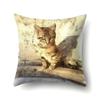 Polyester Überwurfskissenbezug Heimdekoration Überwurfskissen Auto Überwurfskissen Schöner Tier Katze Druck Kissenbezug