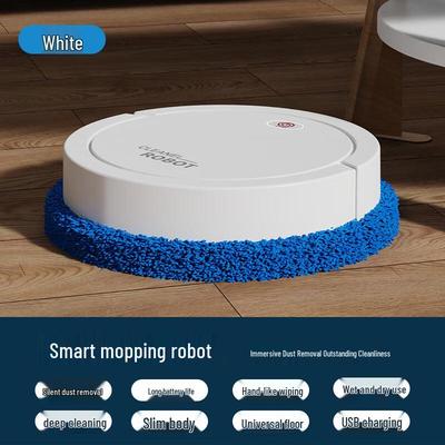 Lilang Wet and Dry Mopping Robot
