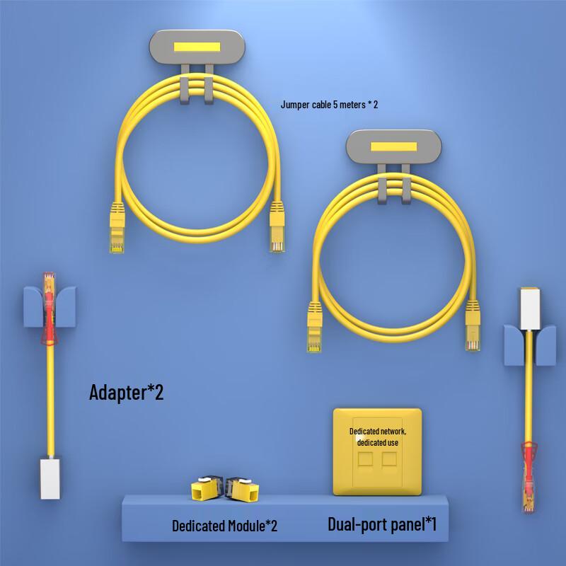 HAILE Cat6 Dual-Port Network Conversion Kit